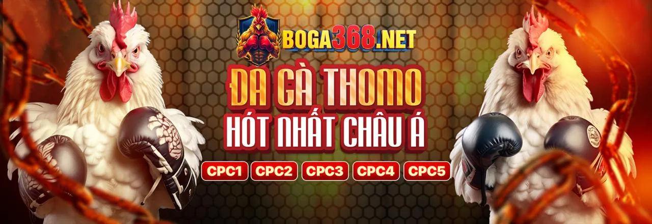 Hướng dẫn tải xuống và cài đặt mana88 iOS an toàn